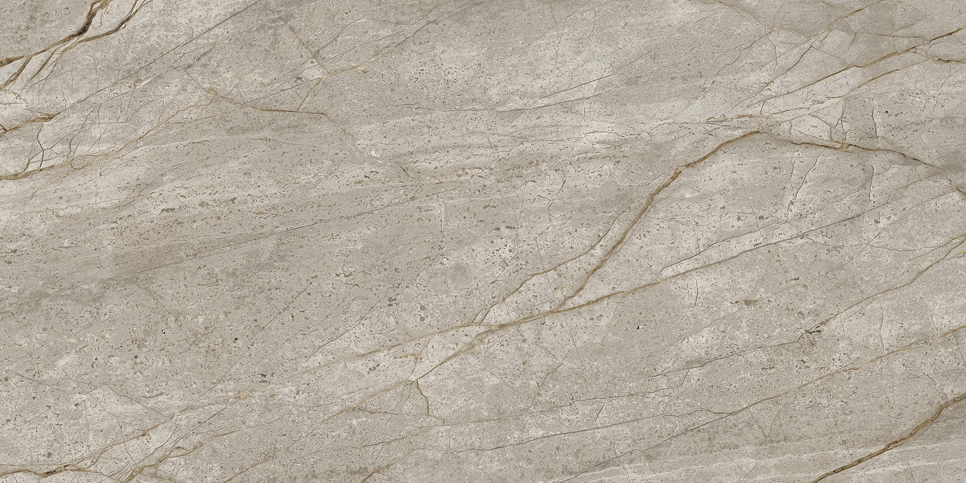 Empire Silver Root Polished 60x120