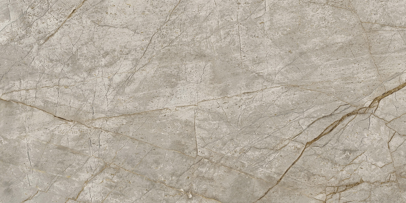 Empire Silver Root Polished 60x120