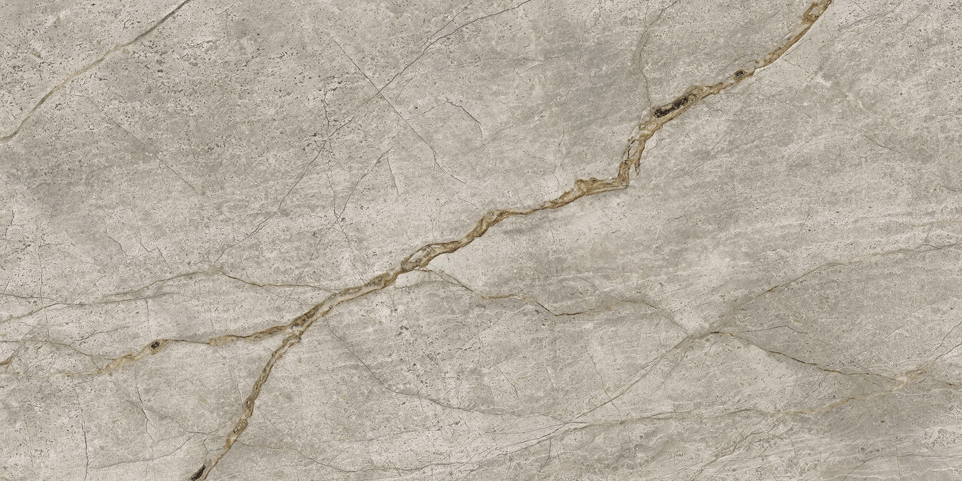 Empire Silver Root Polished 60x120