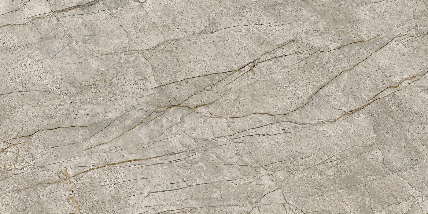 Empire Silver Root Polished 60x120
