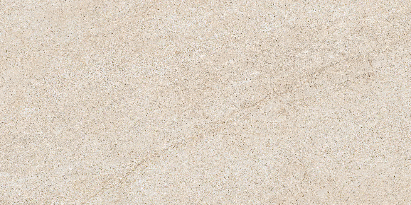 Forte Dei Marmi Rock Siberian Ivory Matt 60x120