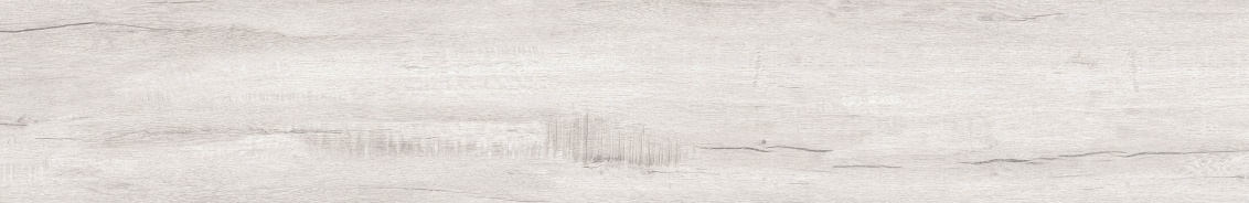 Bianco Levigato 20x120
