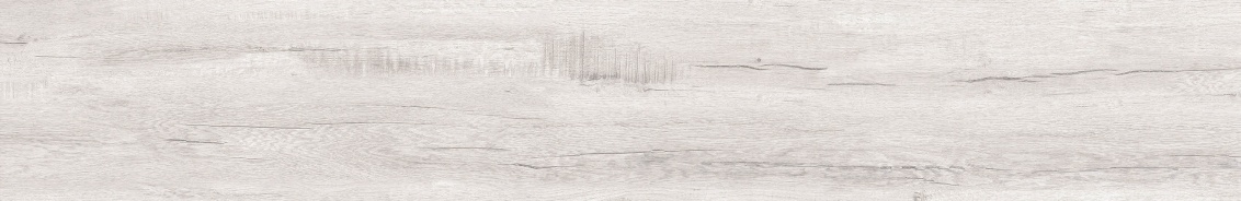 Bianco Levigato 20x120