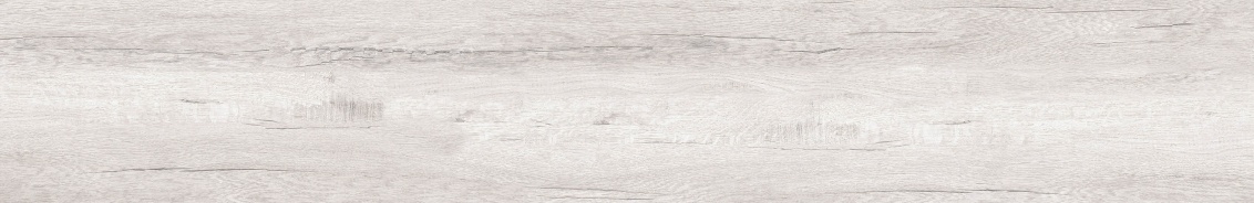 Bianco Levigato 20x120