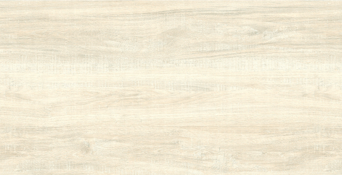 Snow Natural 60x120
