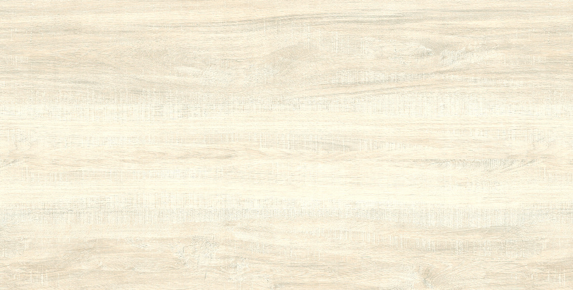 Snow Natural 60x120