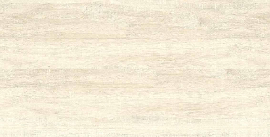 Snow Natural 60x120