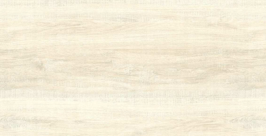 Snow Natural 60x120