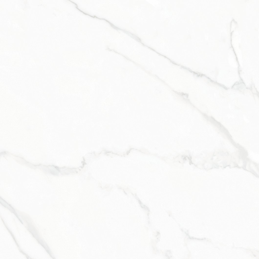 Statuario Levigato 60x60