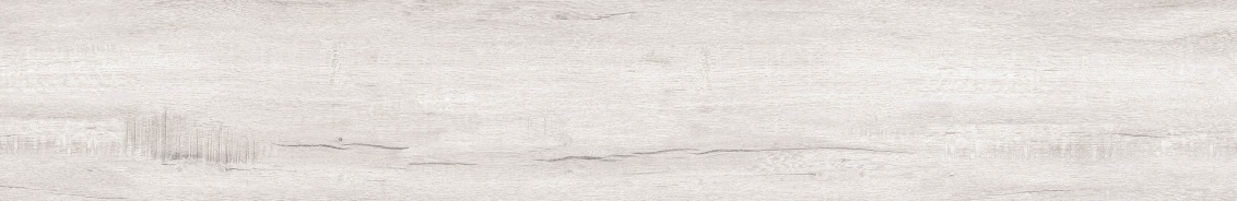 Bianco Levigato 20x120