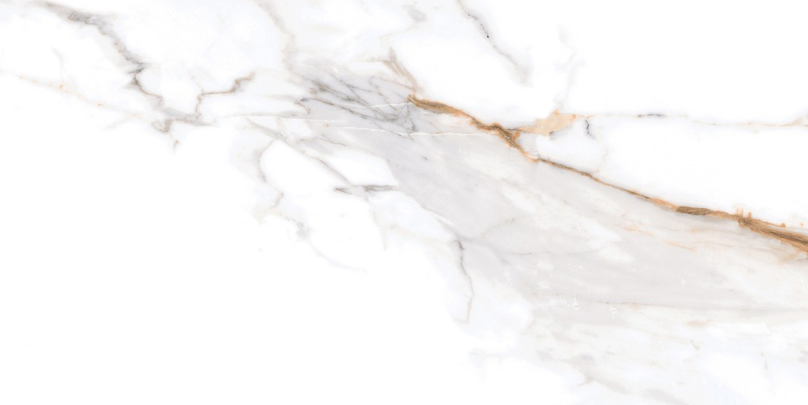 Calacatta Macchia Vecchia Shine 30x60