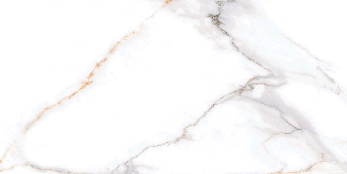 Calacatta Macchia Vecchia Shine 30x60