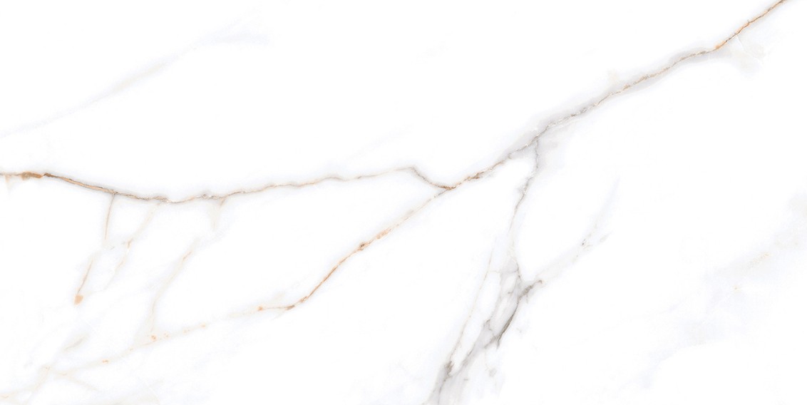 Calacatta Macchia Vecchia Shine 30x60