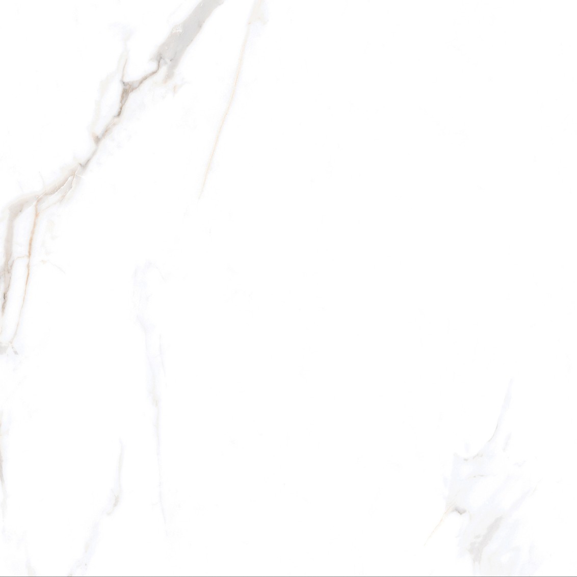 Calacatta Macchia Vecchia Natural 60x60