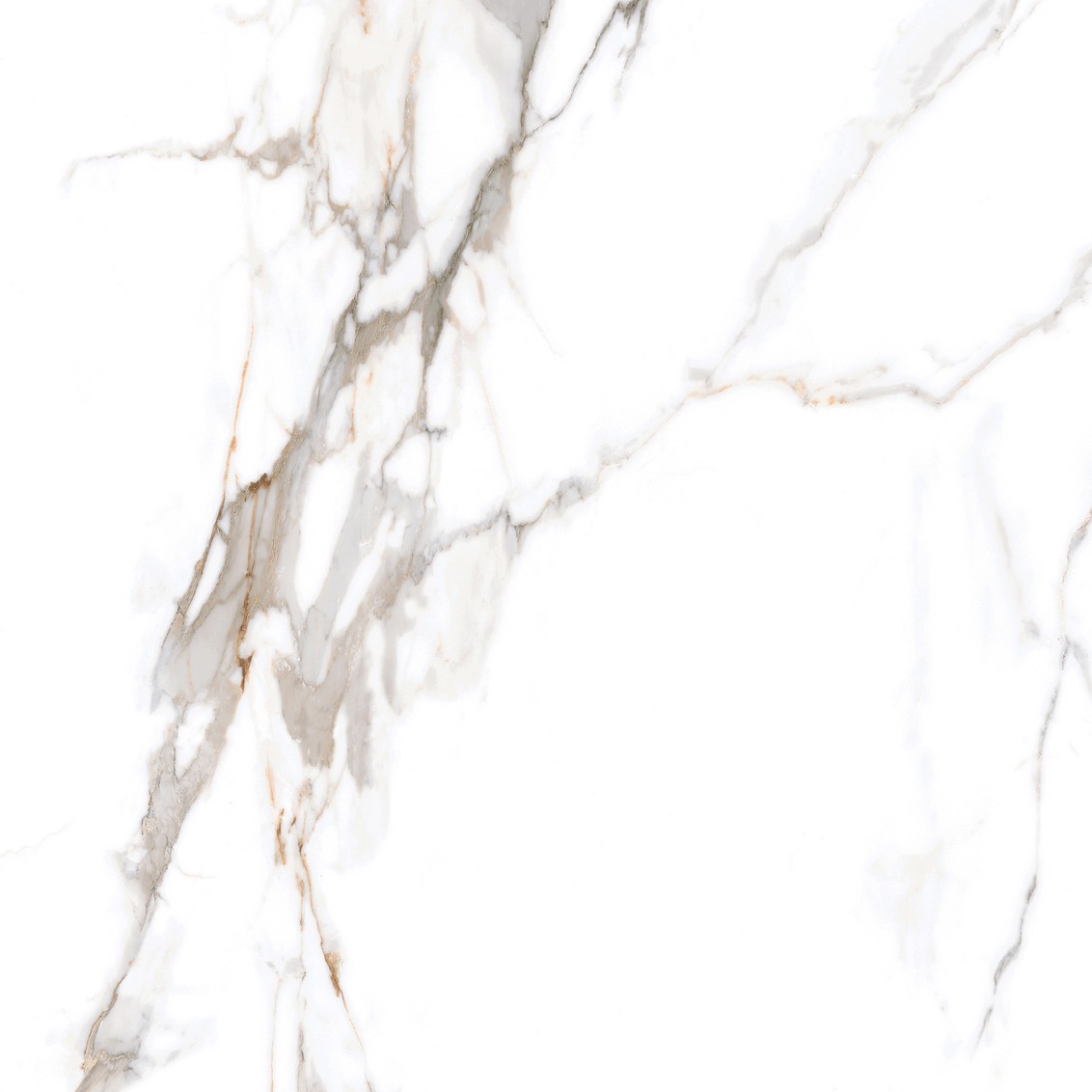 Calacatta Macchia Vecchia Natural 60x60