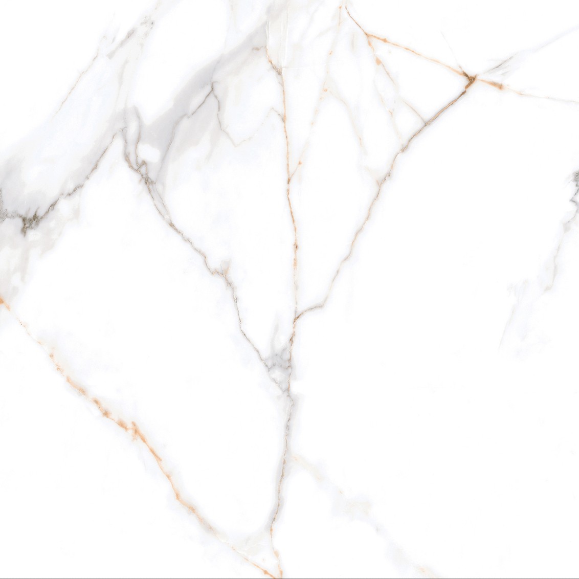 Calacatta Macchia Vecchia Levigato 60x60