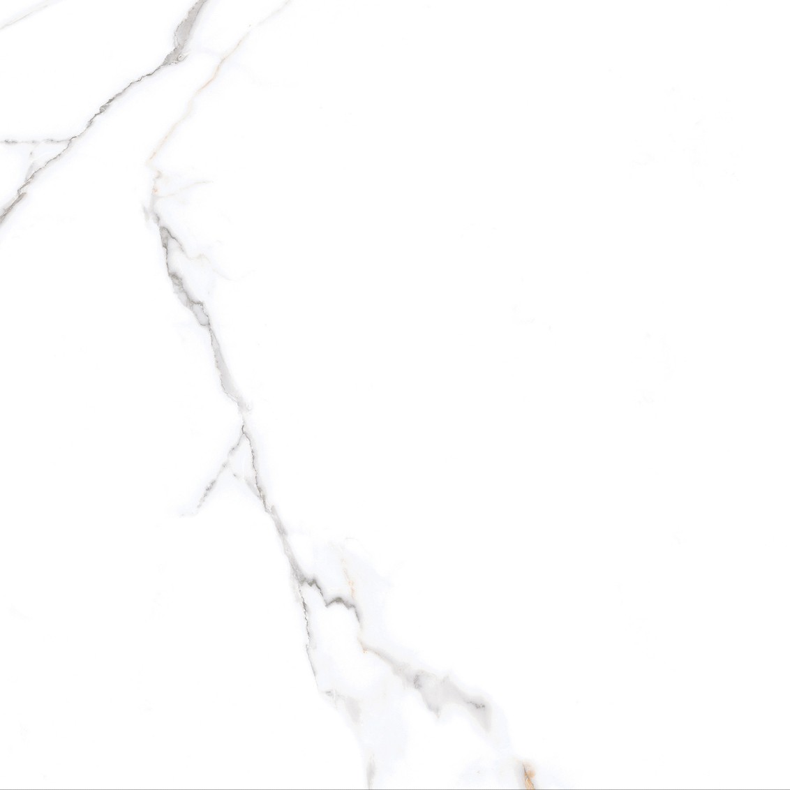 Calacatta Macchia Vecchia Levigato 60x60